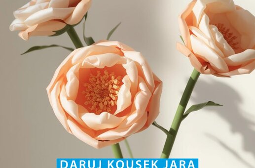 leták pro výzvu dobrovolnického centra s papírovou květinou